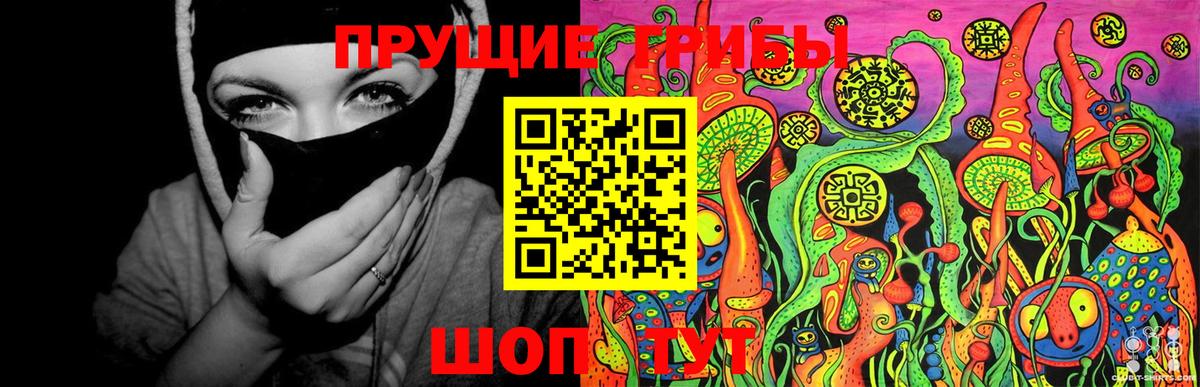 Новоалександровск  Галлюциногенные грибы ЛСД  Вход с VPN 