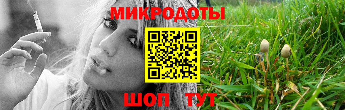 Псилоцибиновые грибы Psilocybine cubensis Новоалександровск